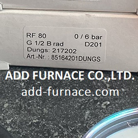 0~6bar DUNGS RF80